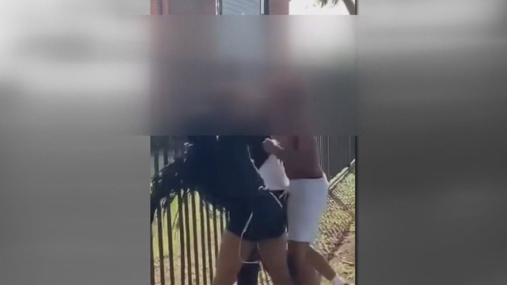 Aldine ISD girl attacked by other students while walking home