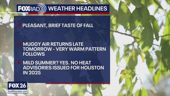Forecasting with Friends: Enjoying a brief taste of all
