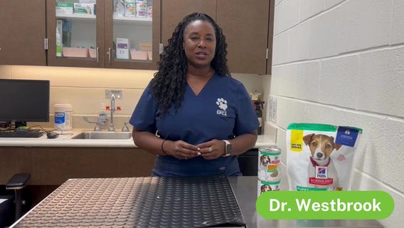 The Pet Pawcast - Parasite Prevention and Core Vaccines