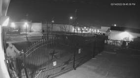 Surveillance video of robbery suspect, whose victim fatally shot 9-year-old girl