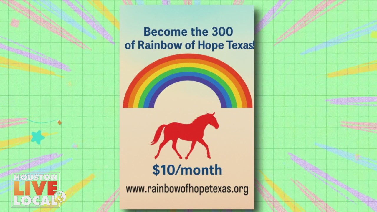 Spectrum of Parenting - Be the Rainbow of Hope 300!
