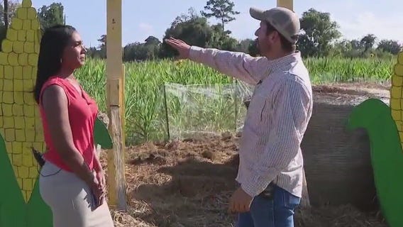 Fall Festival happening in Alvin, Texas