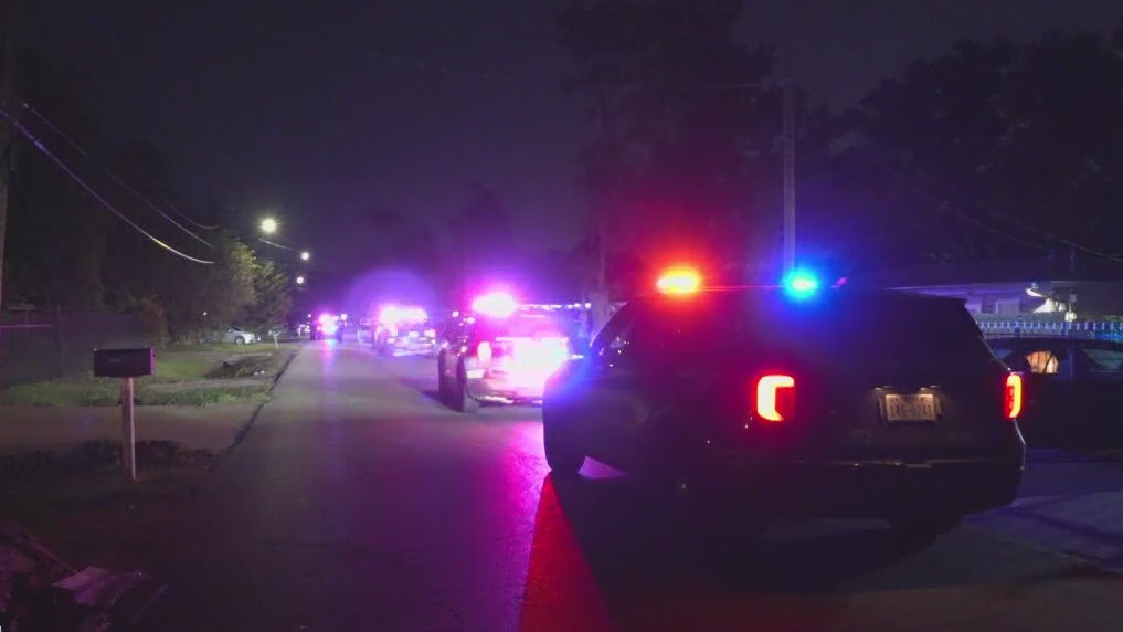 East Houston: Burglar shot during attempted car break-in, police say