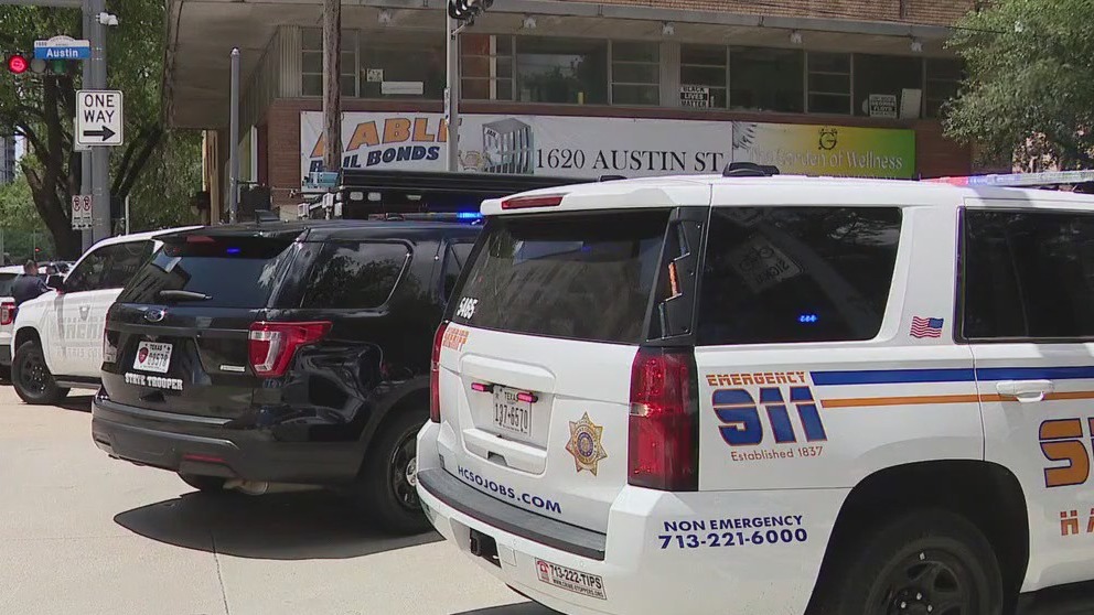 Convict pleads guilty in wire fraud linked to bail bonds | FOX 26 Houston