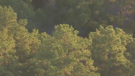 Liberty County: Mother, 3 children taken to hospital following incident