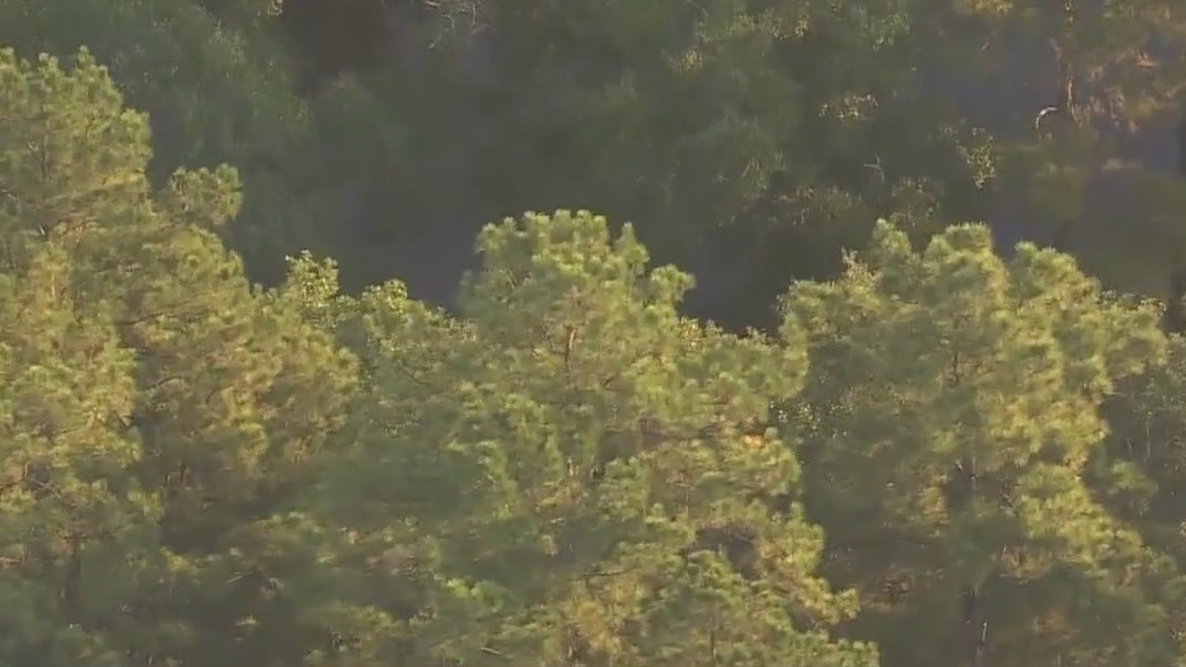 Liberty County: Mother, 3 children taken to hospital following incident