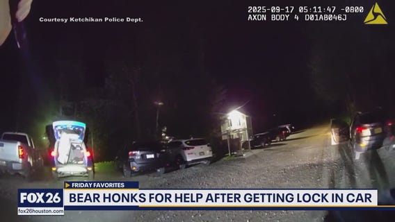 Remembering Hurricane Helene, shifting seasons, furry friends, and more | Forecasting With Friends