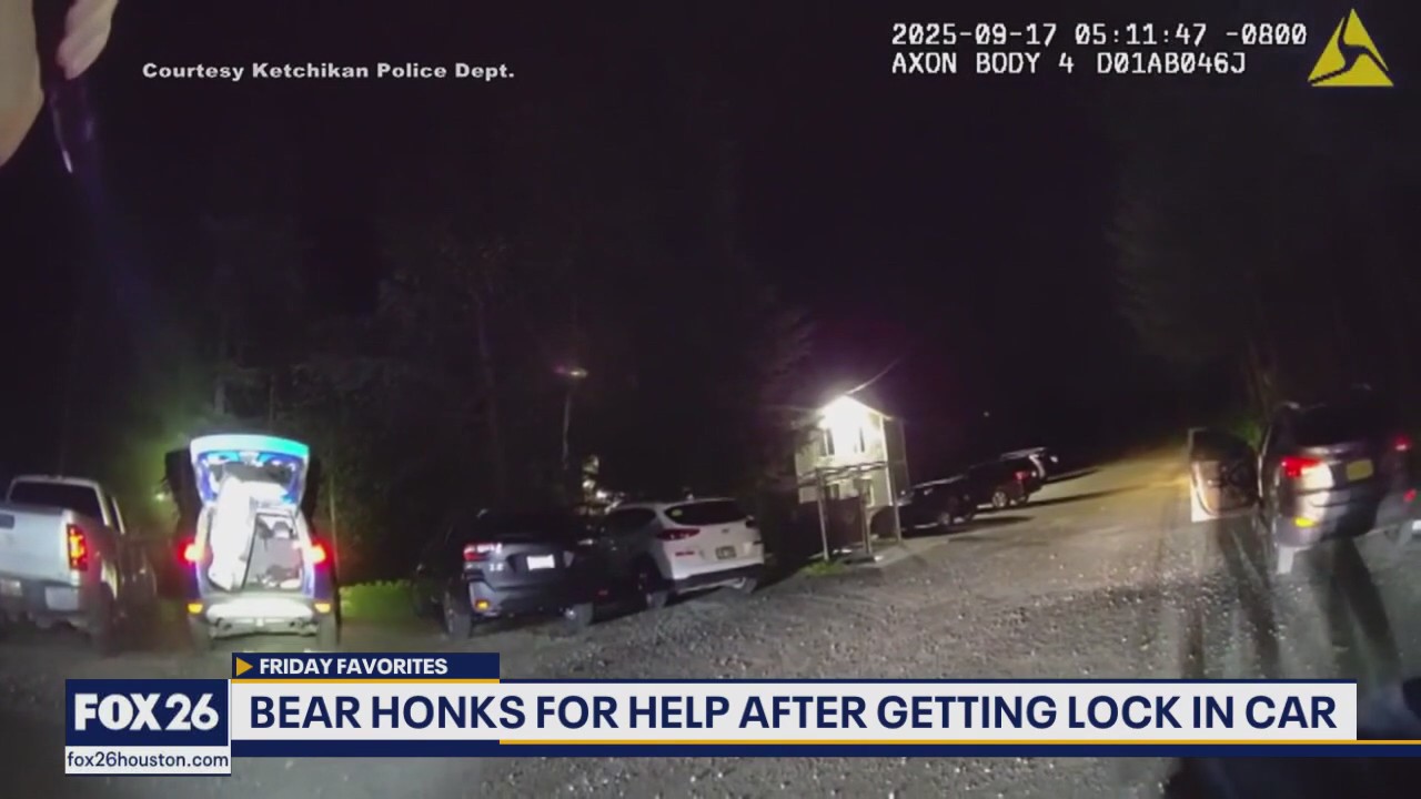 Remembering Hurricane Helene, shifting seasons, furry friends, and more | Forecasting With Friends