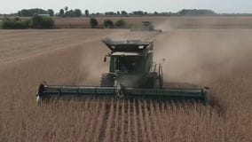 Trump tariffs: U.S. soybean exports drop; furniture industry expecting success