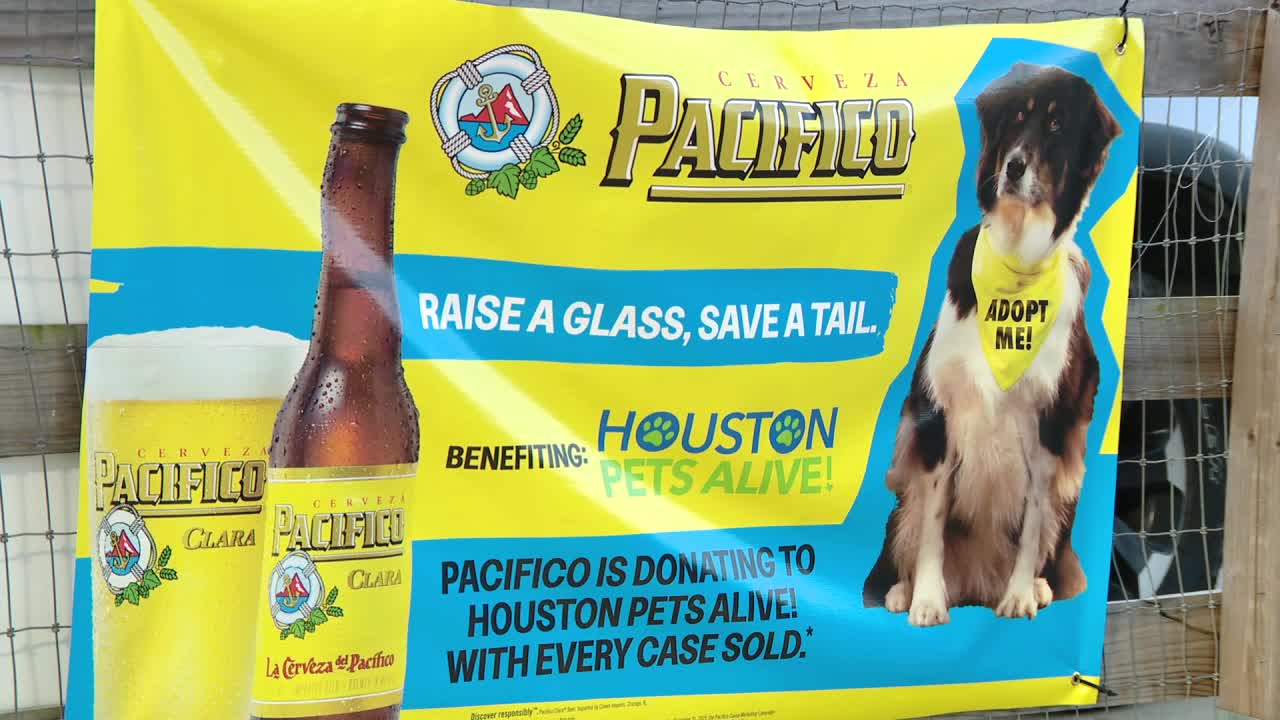 'Barktober' 2025 happening this weekend