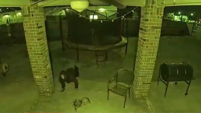 Stolen vehicle in Channelview linked to murder case