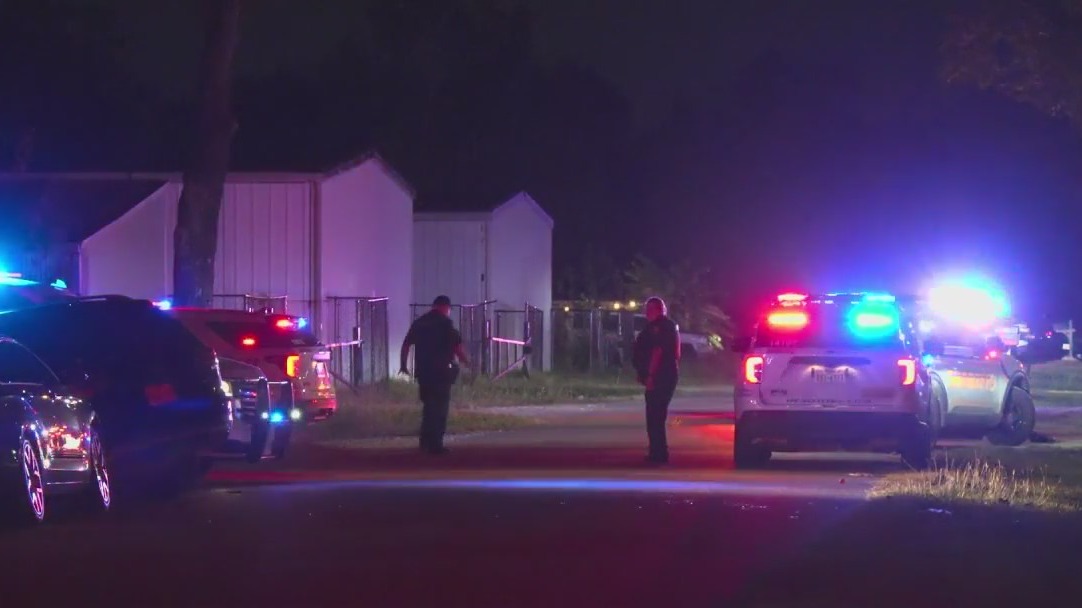 Three injured in shooting at large Halloween party, officials say
