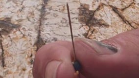 Sewing pins found in Santa Fe parade candy