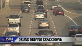 Michigan officials encourage use of designated drivers this summer