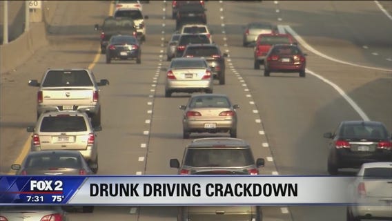 Michigan officials encourage use of designated drivers this summer