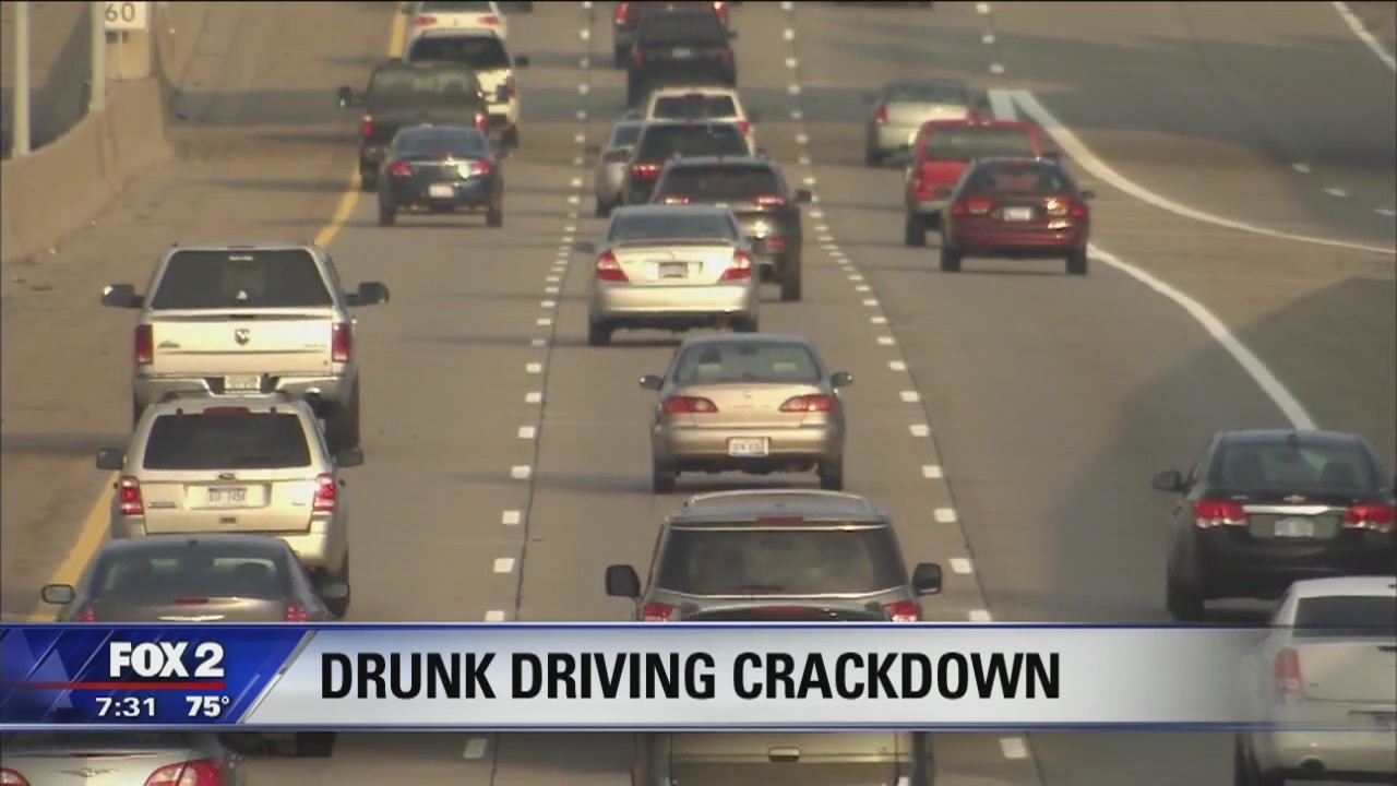 Michigan officials encourage use of designated drivers this summer