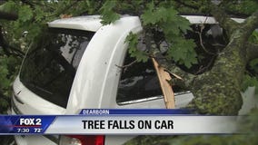 Storm damage leaves neighbors stranded in Dearborn