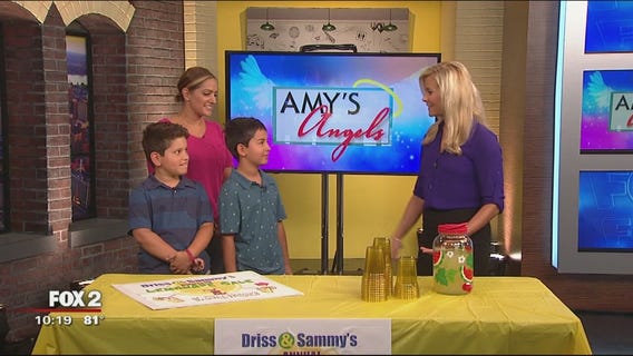 Brothers' lemonade stand raises thousands for St. Jude