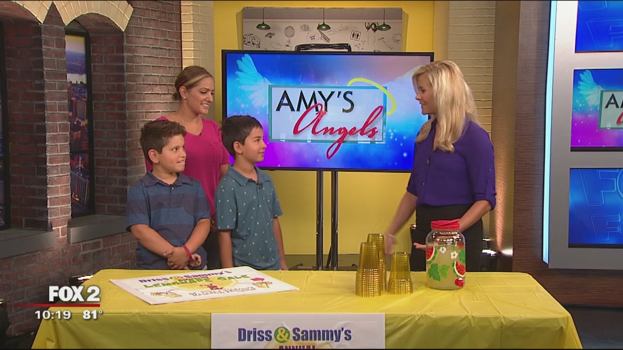 Brothers' lemonade stand raises thousands for St. Jude