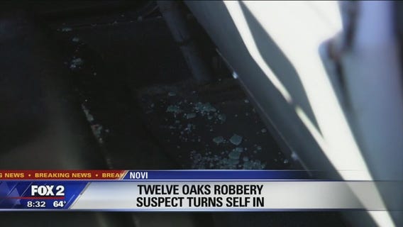 Twelve Oaks robbery suspect kicks out windows, assaults police officer after turning self in