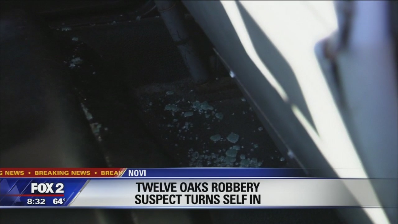 Twelve Oaks robbery suspect kicks out windows, assaults police officer after turning self in