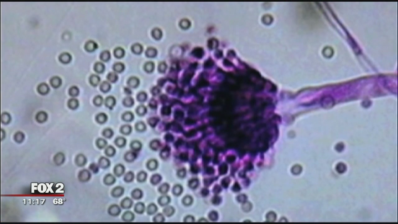 Meningitis B vaccine: Why it's here and who should get it