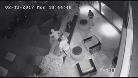 CAUGHT ON VIDEO: Bandits raid Hollywood Hills home