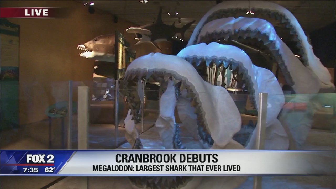 Cranbrook's new exhibit is one for the sharks