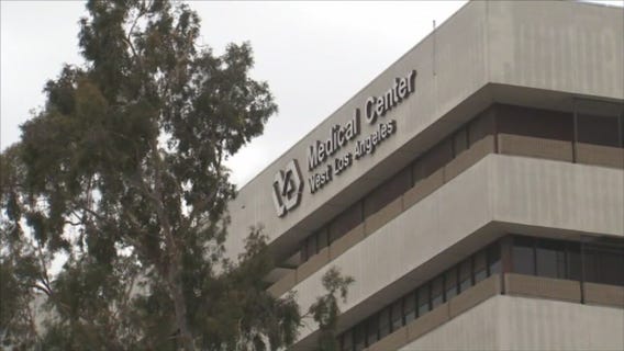 VA accused of conducting secret experiments on dogs