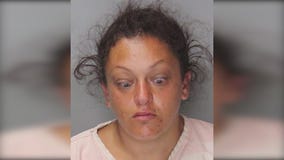 Suspect arrested in N. Hollywood puppy theft; pup found safe