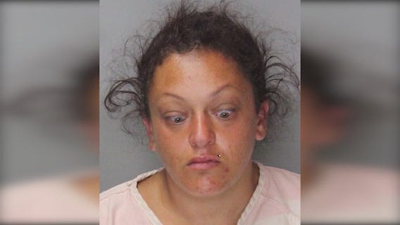 Suspect arrested in N. Hollywood puppy theft; pup found safe