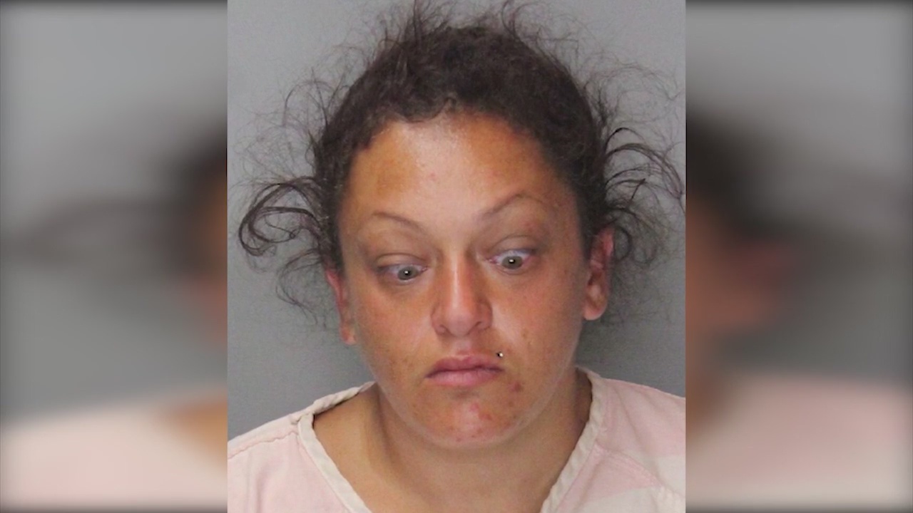 Suspect arrested in N. Hollywood puppy theft; pup found safe