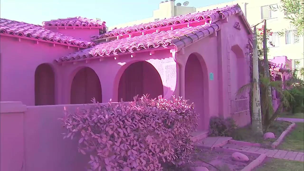 Art or an eye sore? Hot pink houses in Mid-City causing controversy