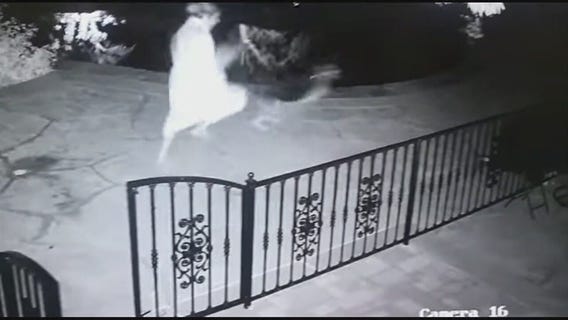 Woman picks up dog toy?