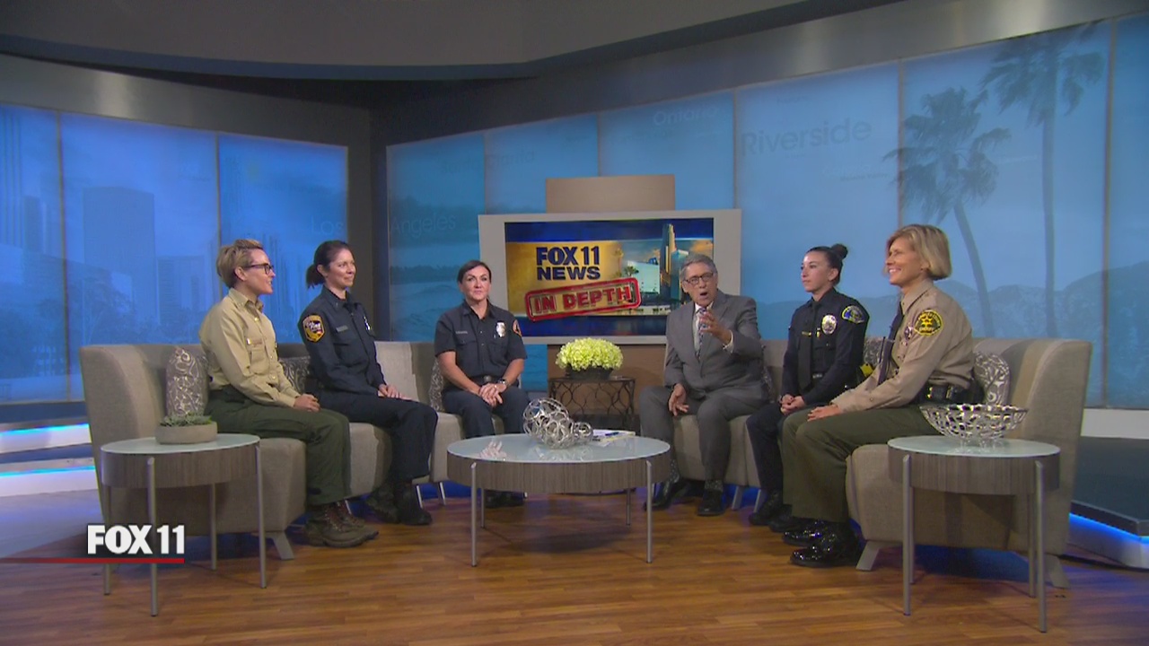 Segment 4: In Depth viewer comments