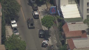 Hollywood barricade suspect dead