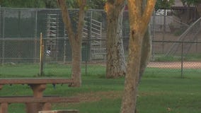 Man stabbed to death at park in San Fernando
