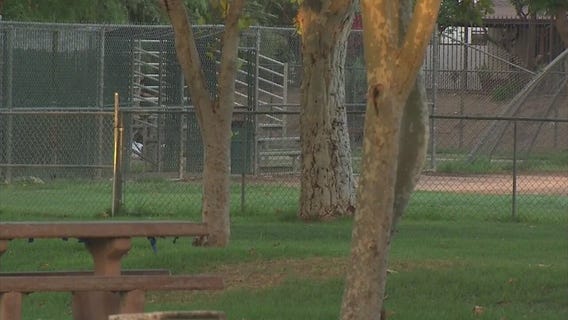 Man stabbed to death at park in San Fernando