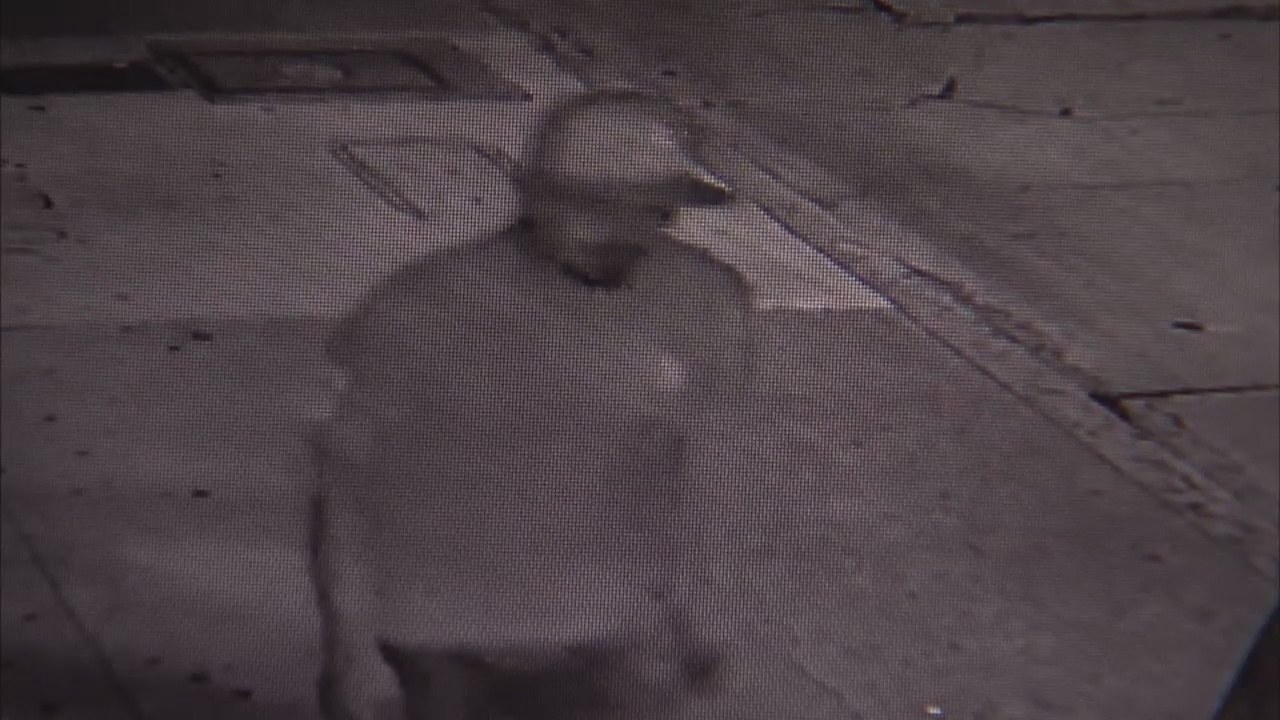 LAPD steps up search after sex assault in Van Nuys caught on camera