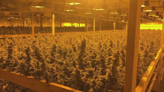 City of Industry bans marijuana sales, cultivation and distribution