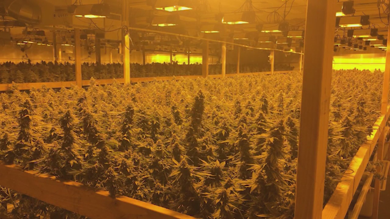 City of Industry bans marijuana sales, cultivation and distribution