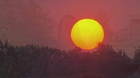 Heat wave in SoCal bringing triple-digit temps, wildfire risk