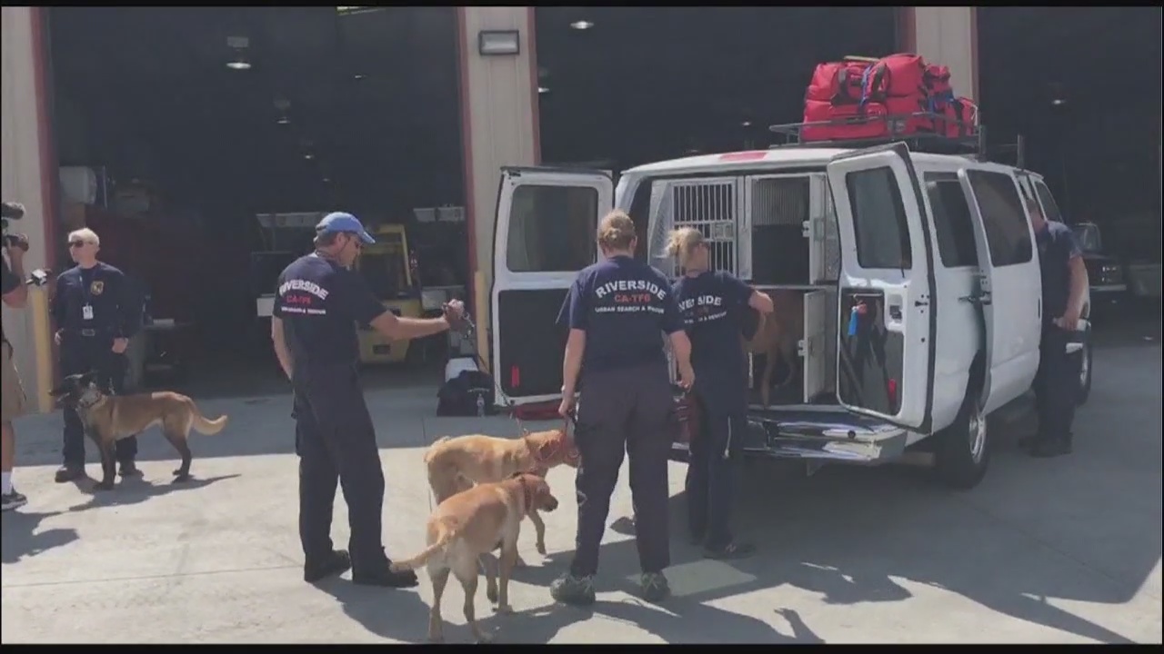 Search dog team from Riverside County dispatched for Irma rescues