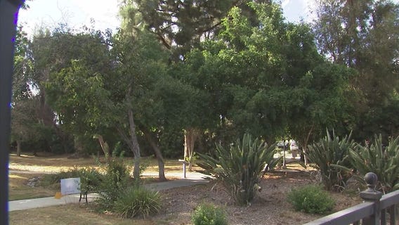 Alhambra protestors urge council to preserve hundreds of trees