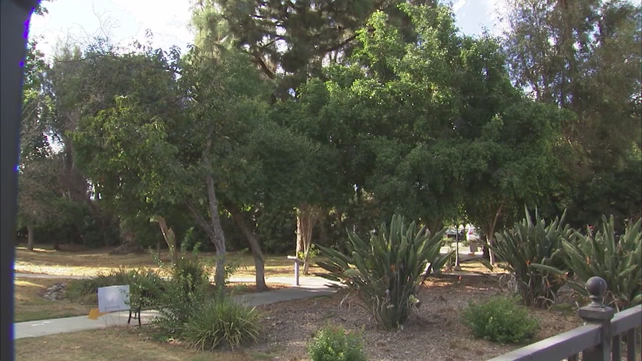 Alhambra protestors urge council to preserve hundreds of trees