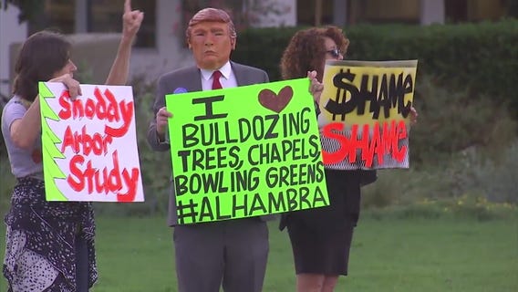 Tree removal protest in Alhambra