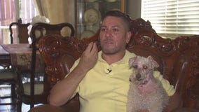 Dog mauled by pit bulls in San Jacinto neighborhood, search for owner underway