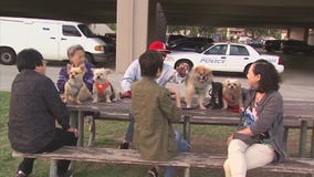 Monterey Park ranked 3rd in Money Magazine's 2017 best places to live list