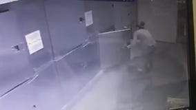 Woman breaks into animal shelter and steals dog