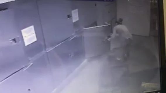 Woman breaks into animal shelter and steals dog